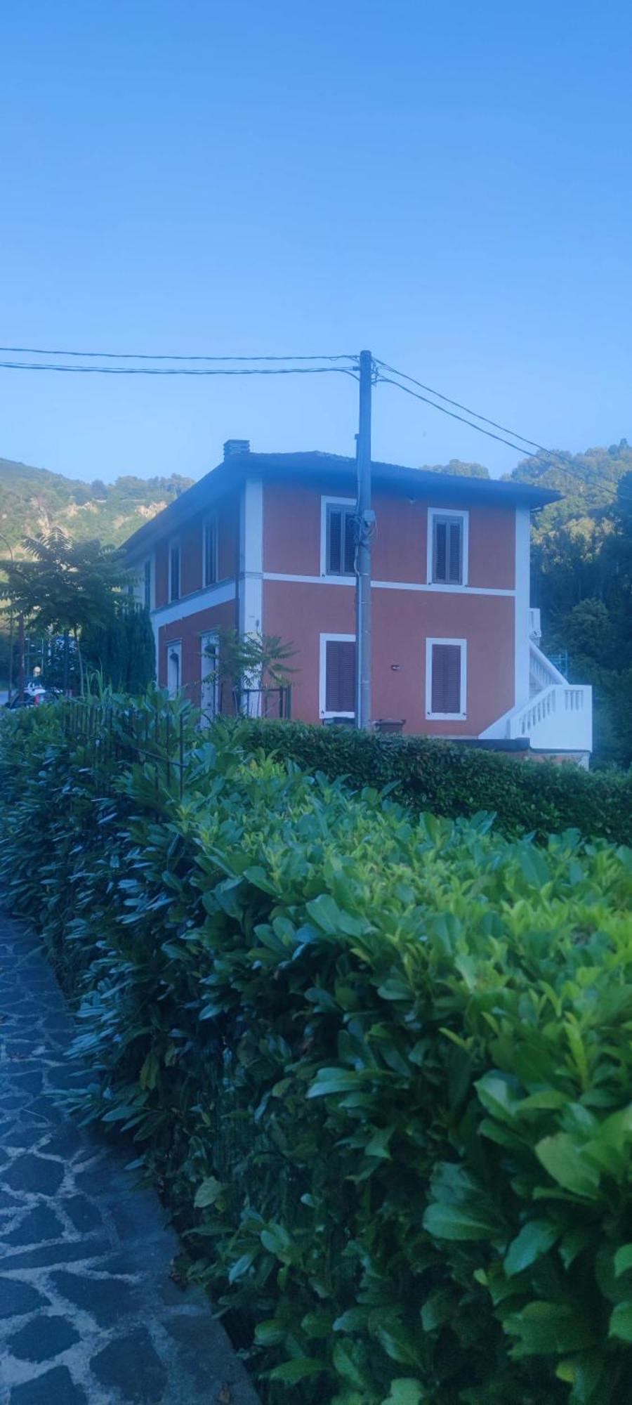 L'amoruccio
